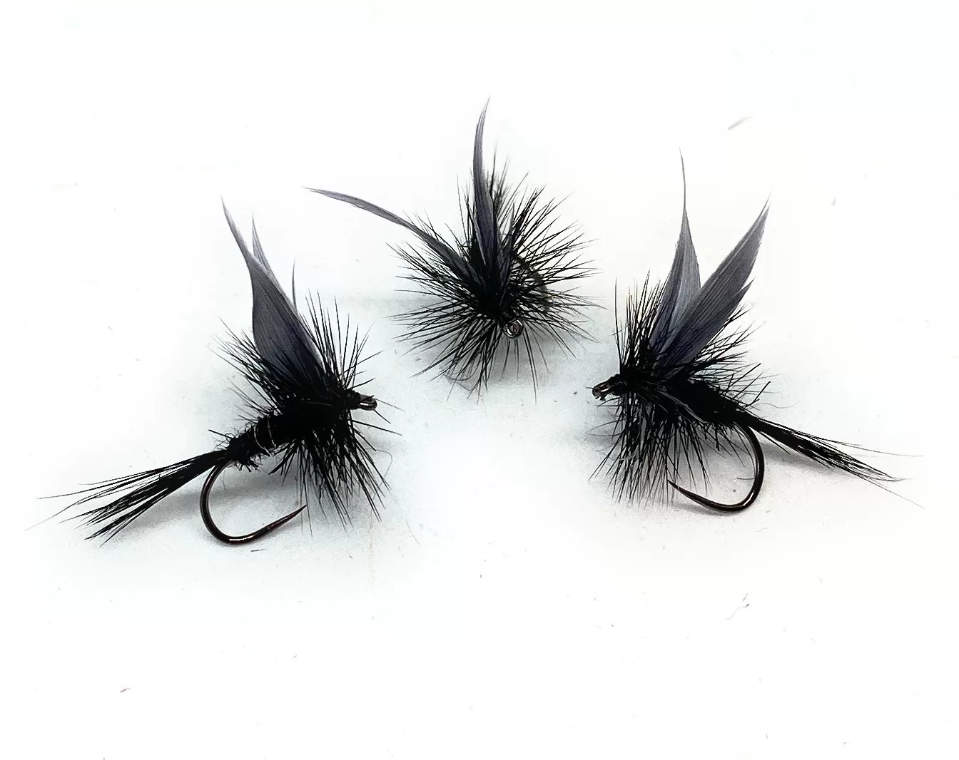 Black Gnat Traditional Dry Fly classic dry flies hook 10 12 14 16 fly fishing