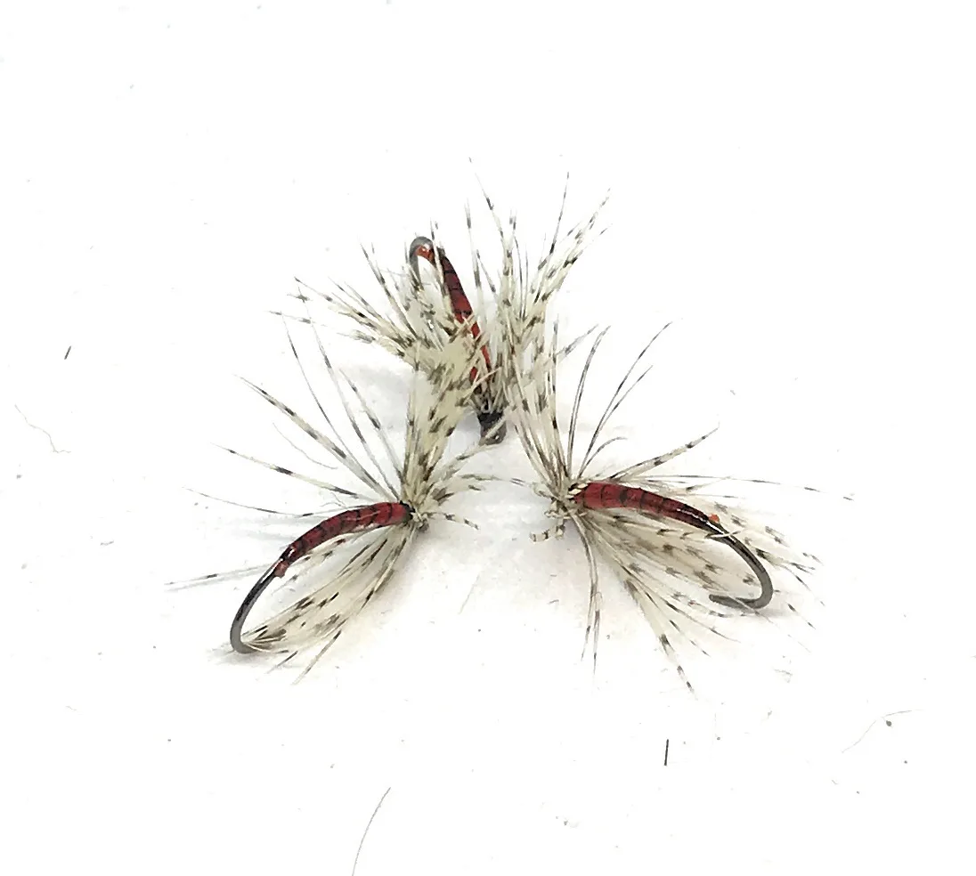 Red & Partridge Curved Wet Fly sommerse amo 8-20 pesca mosca artificiale