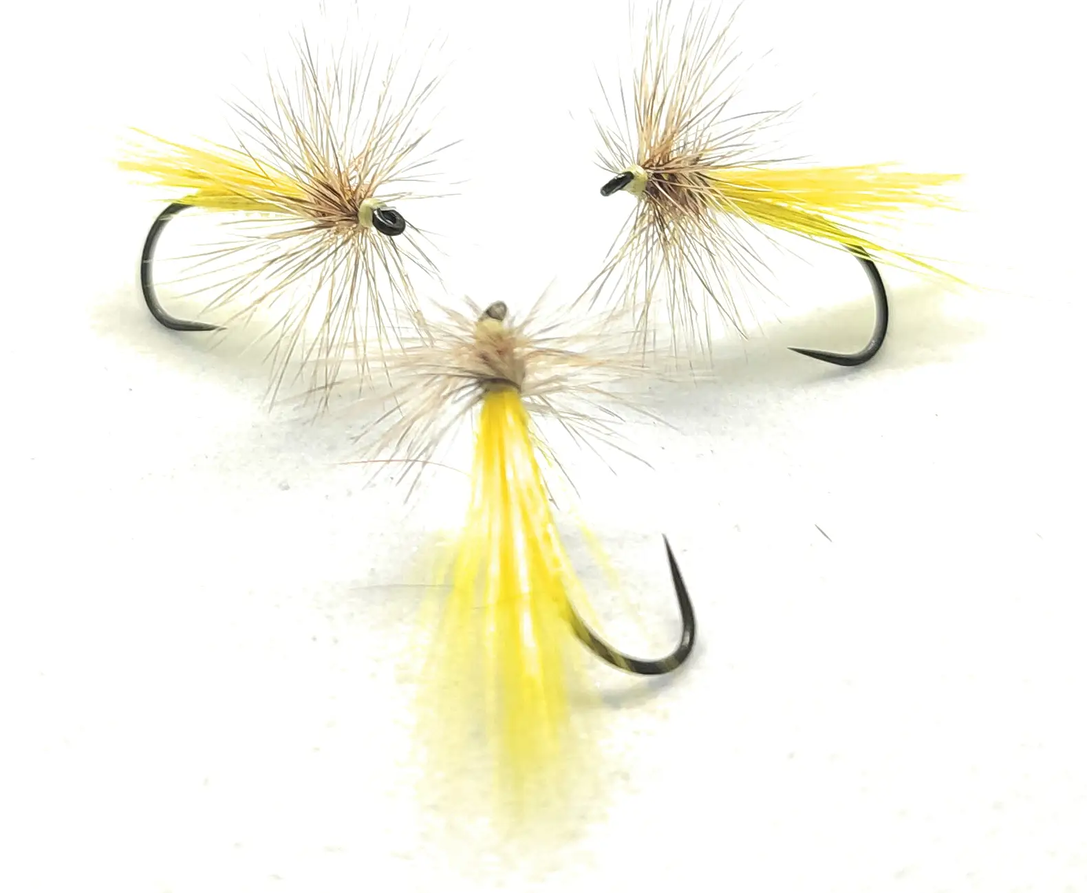 Plecottero Isoperla Grammatica Dry Fly amo 12-16, 3 artificiali secche pesca mosca