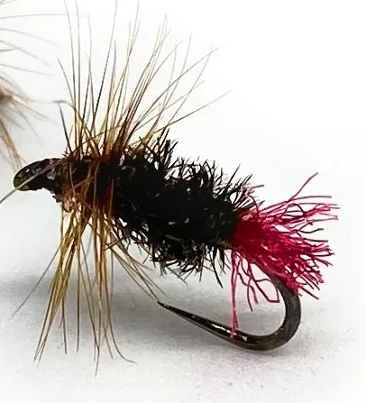 Red Tag mosca secca pesca a mosca classica intramontabile
