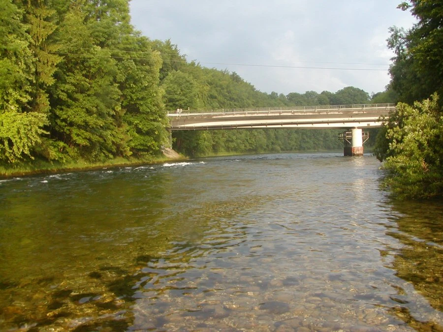 Pesca a mosca fiume Traun Austria, acque cristalline e trote selvatiche