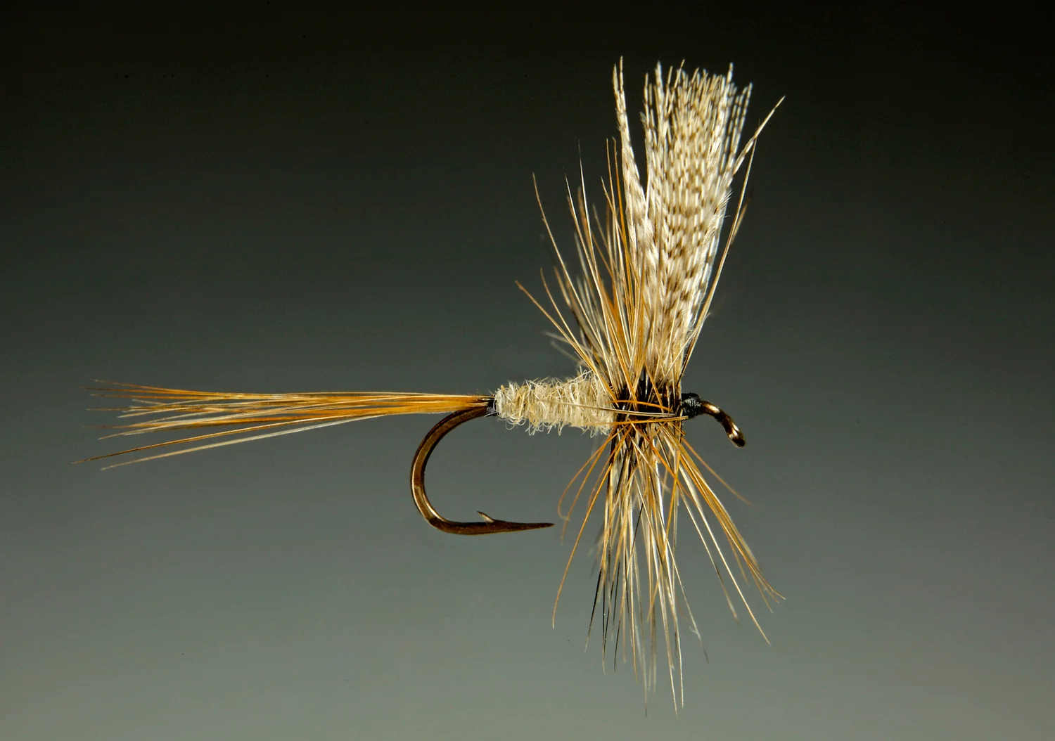 March Brown mosca secca sommerse pesca a mosca classica