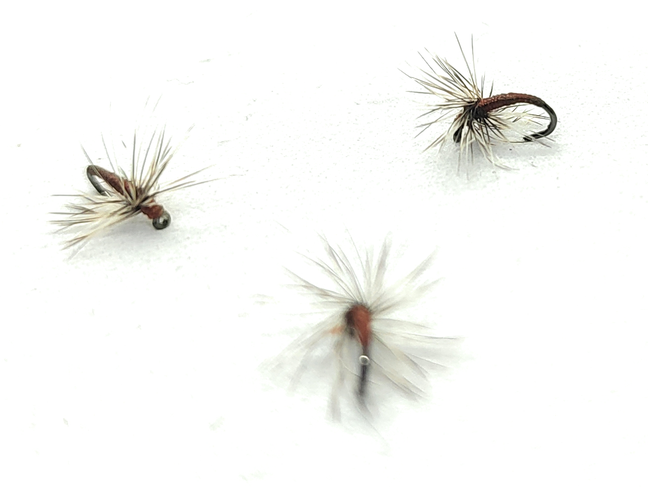 Grizzly & Brown Midge - 3 Fliegen