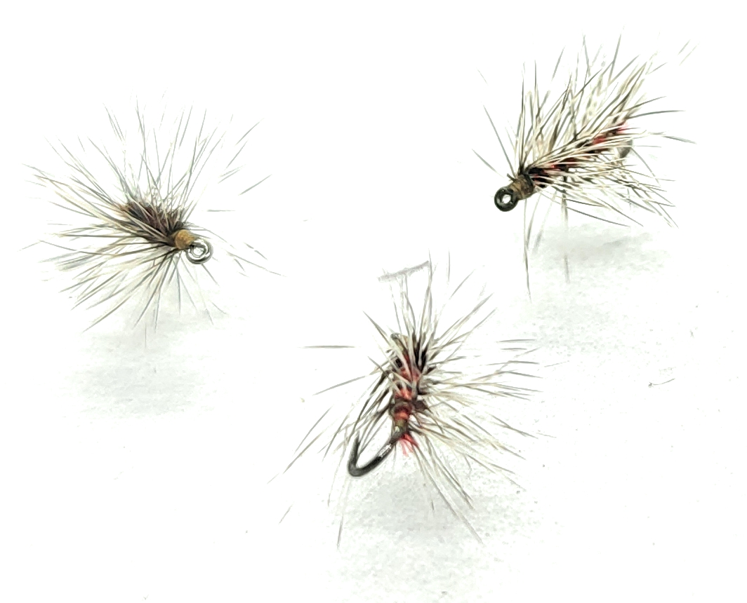 Grizzly Red Palmered Midge artificiali secche #18 #20 pesca mosca