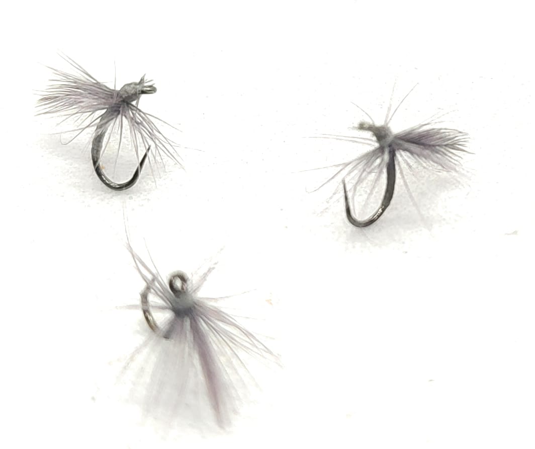 Hen Micro Emerger Grey Dun mosche artificiali secche #16 #18 #20